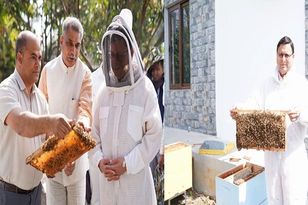 Honey processing