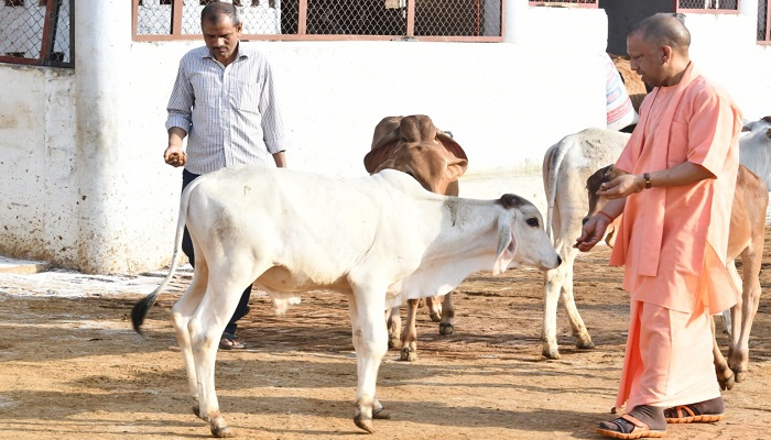 CM Yogi