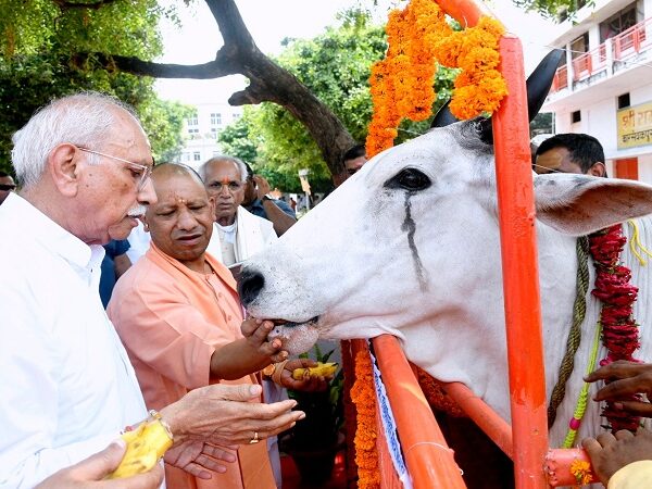 CM Yogi