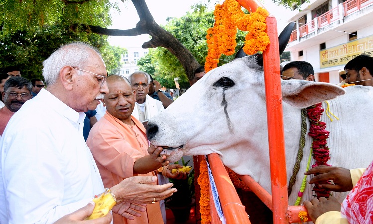 CM Yogi