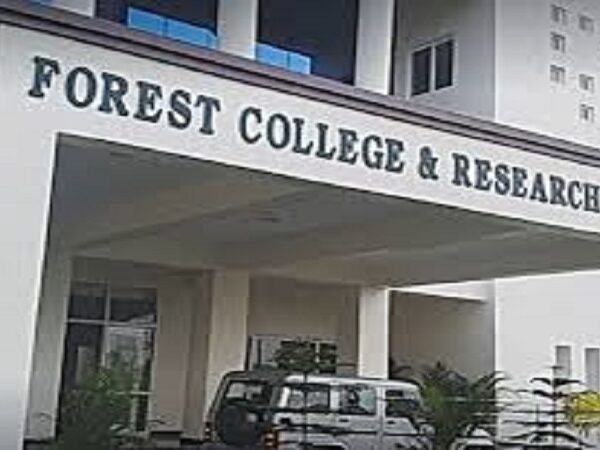 Forestry University