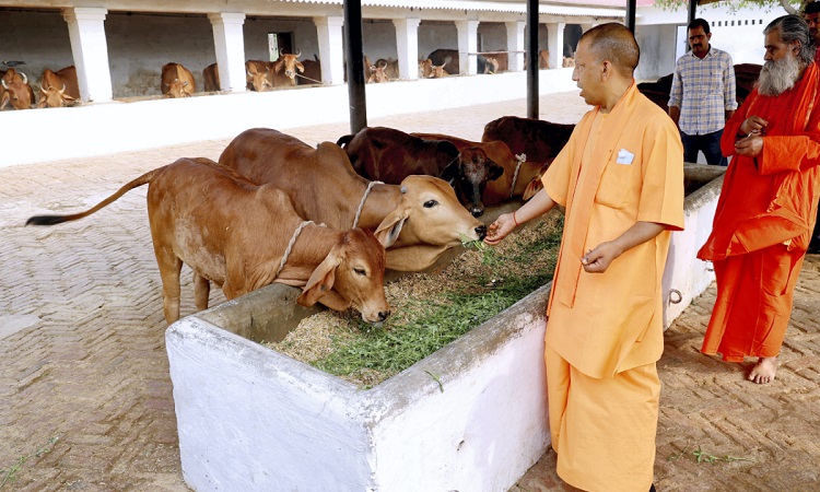 Mini Nandini Krishak Samridhi Yojana