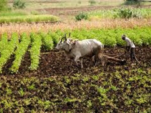 natural farming