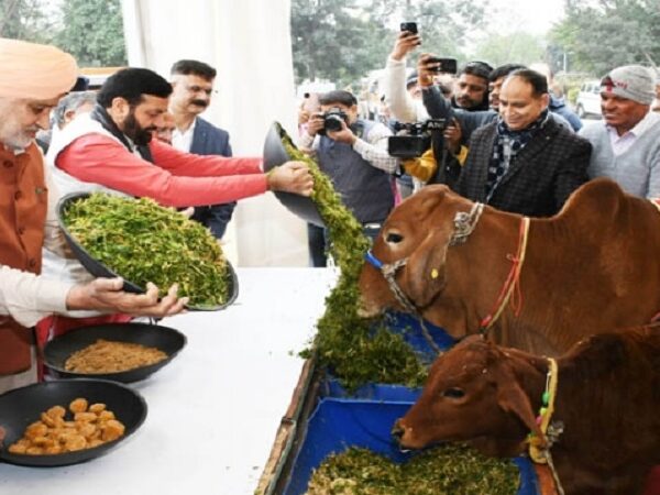 CM Nayab Singh Saini