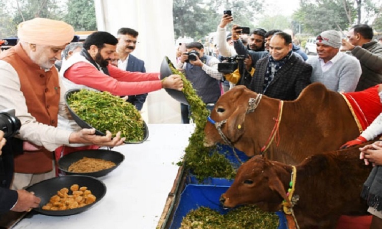 CM Nayab Singh Saini