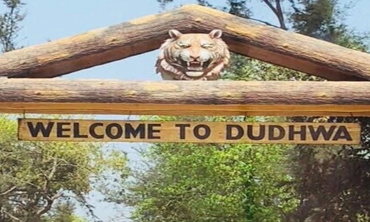 Dudhwa Wildlife Sanctuary