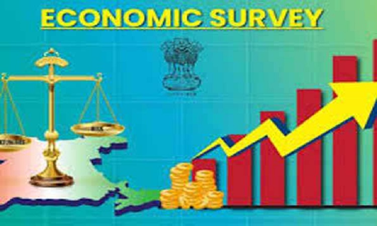 Economic Census