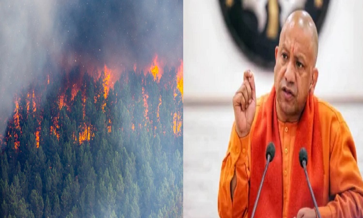 Fire control cell became active on the instructions of CM Yogi