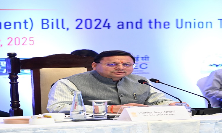 CM Dhami