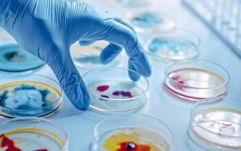 Microbiology Labs