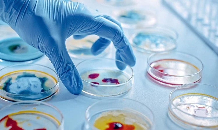 Microbiology Labs