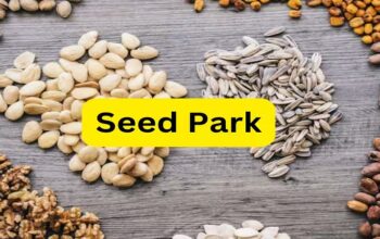 Seed Park