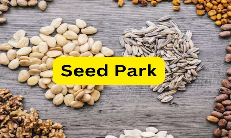 Seed Park
