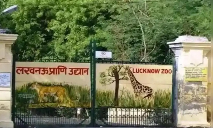 Zoo