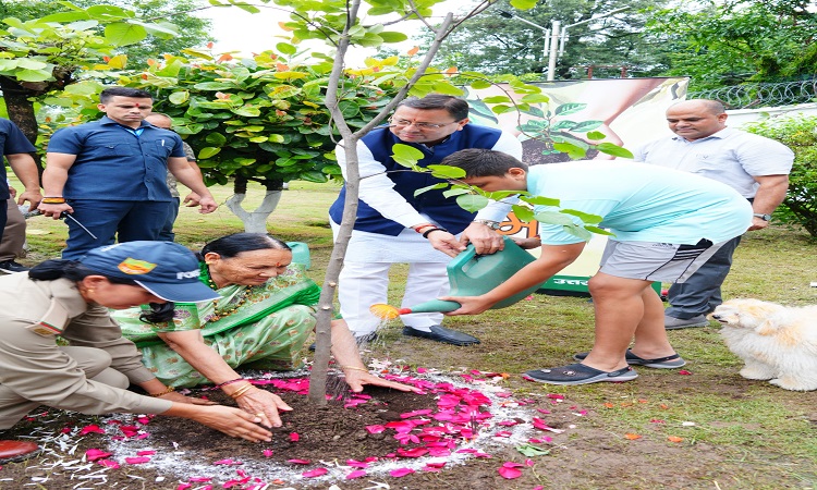 CM Dhami planted a tree under the campaign 'Ek Ped Maa Ke Naam'