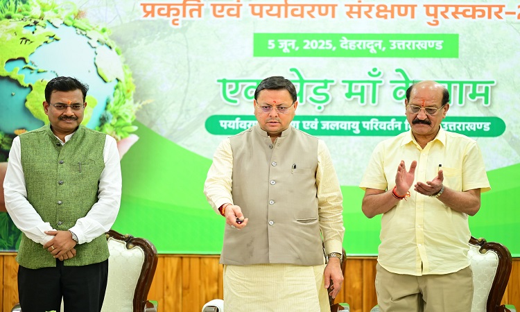 cm dhami