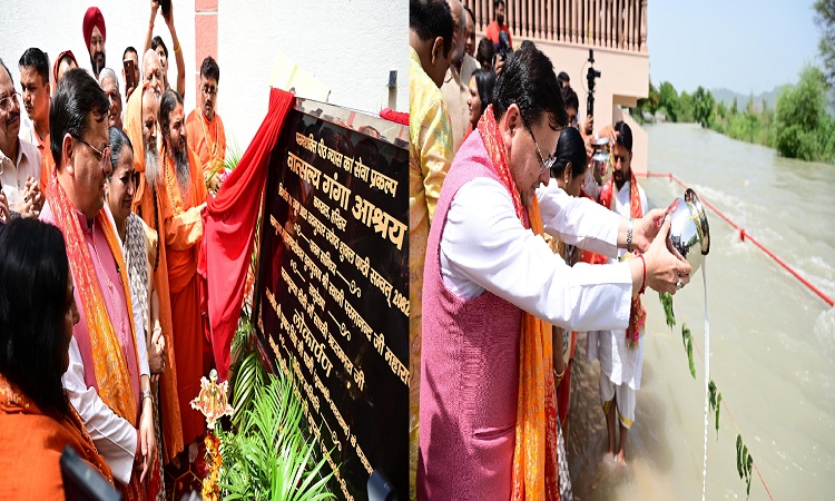 CM Dhami