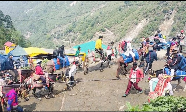Kedarnath Dham