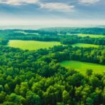 forest land