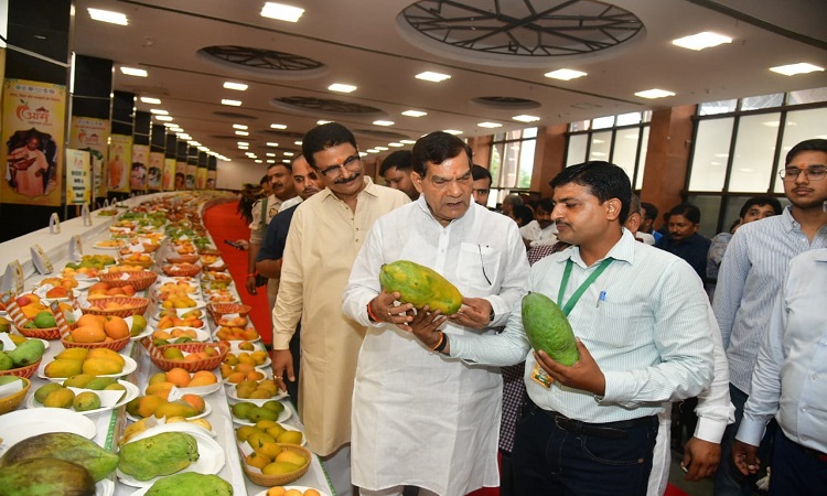AK Sharma