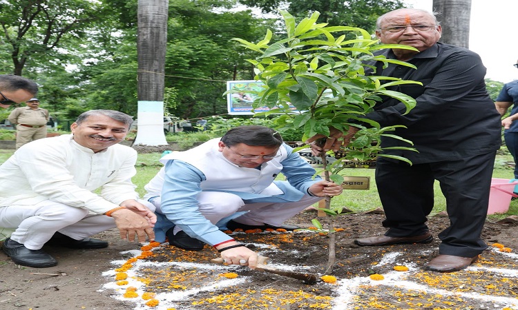 CM Dhami