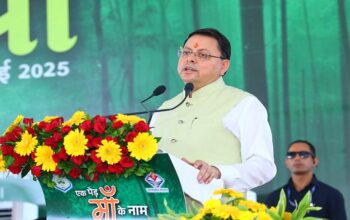 CM Dhami