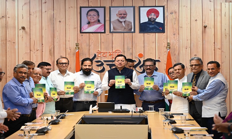 CM Dhami