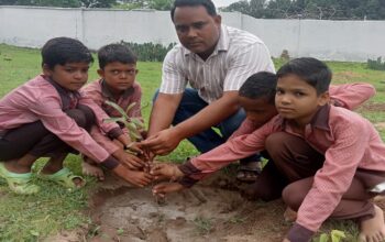 Plantation Campaign 2025