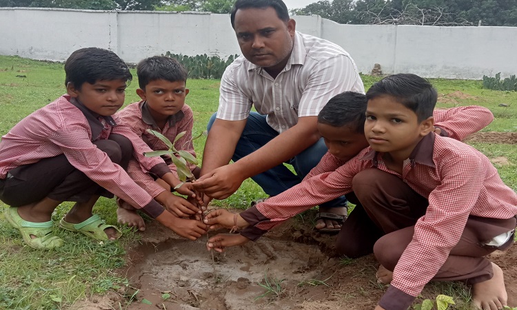 Plantation Campaign 2025