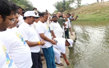 Tamsa river is being revived