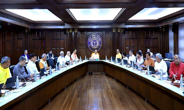yogi cabinet