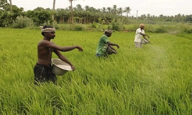 Fertilizer