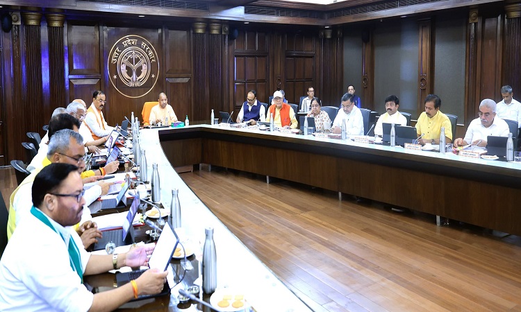 Yogi Cabinet