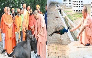 CM Yogi pampered Bhavani-Bholu, fed jaggery to Punj