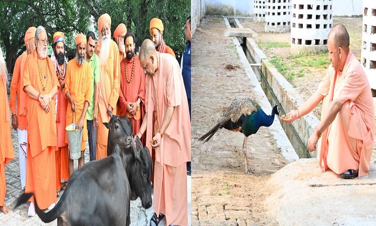 CM Yogi pampered Bhavani-Bholu, fed jaggery to Punj