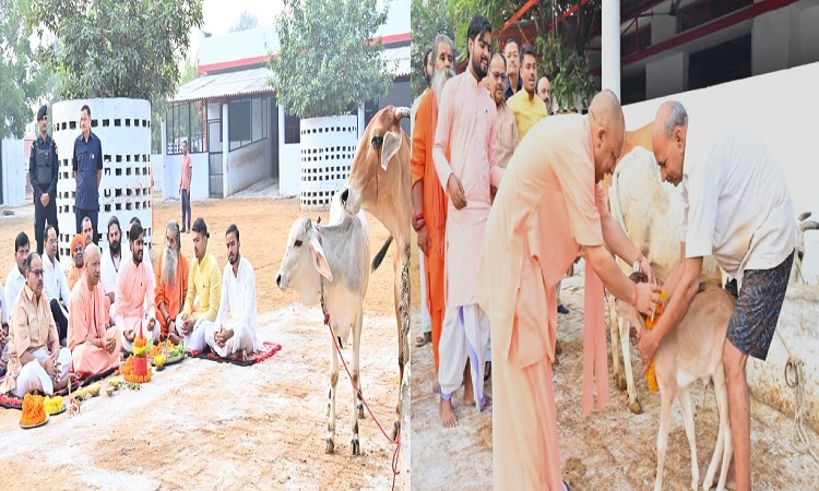 CM Yogi