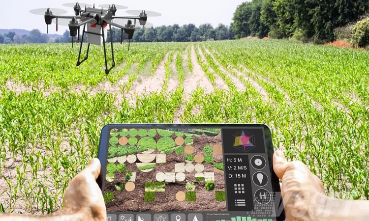 AI in Agriculture