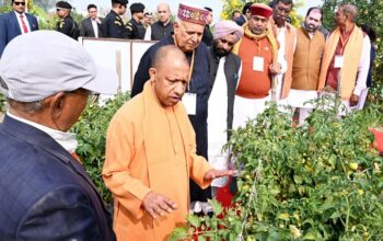 Innovation is increasing farmers' prosperity