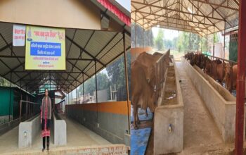 Nandini Krishak Samriddhi Yojana