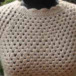 साड़ी पर इस तरह कैरी करें ऊनी ब्लाउज, मिलेगा स्टाइलिश लुक