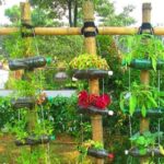 सर्द मौसम में यू करें अपने बगीचे के पौधों की देखभाल