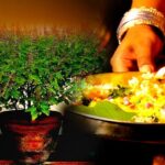 आरती करते समय तुलसी पर चढ़ाएं ये चीजें, घर में सदा बना रहेगा मां लक्ष्मी का वास