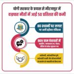 Lightning deaths in Mirzapur have decreased by 50 percent.