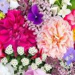 बर्थडे के महीने के हिसाब से दें ये गिफ्ट, मजबूत होगा रिश्ता