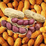 मूंगफली से बनाएं ये टेस्टी डिश, कभी भी उठाए इसका लुत्फ