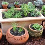 गिनती के अनुसार लगाएं पौधे, हर मन्नत हो जाएगी पूरी