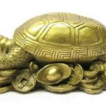 घर में यहां रखें कछुआ, दूर हो जाएंगी तकलीफ़ें