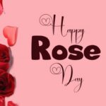 Rose Day पर मिले गुलाब के रंग से पहचानें फीलिंग, हर कलर का है अलग मतलब