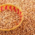 पेट की इस समस्या में फायदेमंद है चिरौंजी