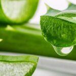 फेस के अनचाहे बालों से छुटकारा दिलाएगा एलोवेरा